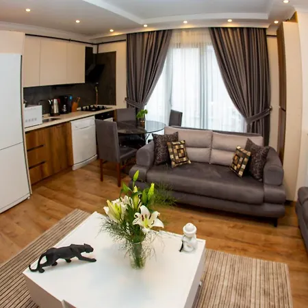Saygin Appart hôtel *