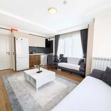 Apart Otel Saygın 4*
