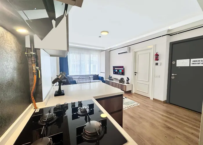 公寓式酒店 Saygin